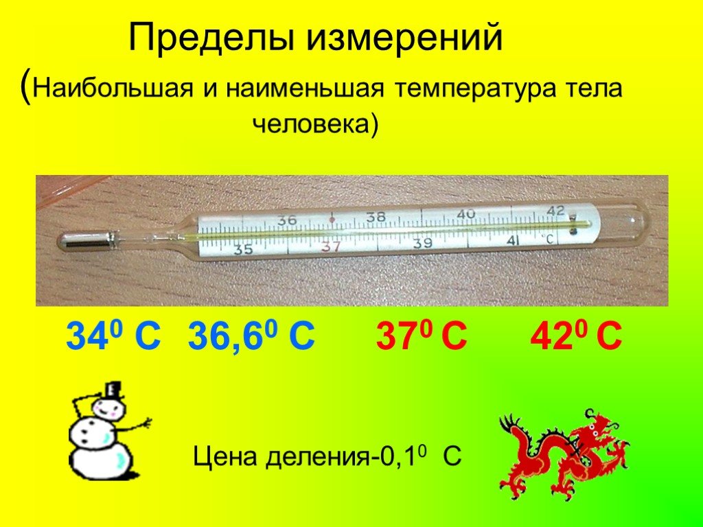 Меньше 36. Температура тела. Температура человека. Предел измерения медицинского термометра. Определение температуры тела человека.