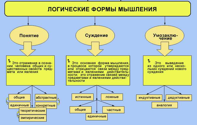 Запишите слово пропущенное в схеме формы познания понятие суждение умозаключение