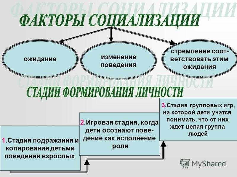 Схема факторы социализации