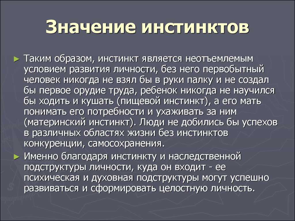 Что такое инстинкт