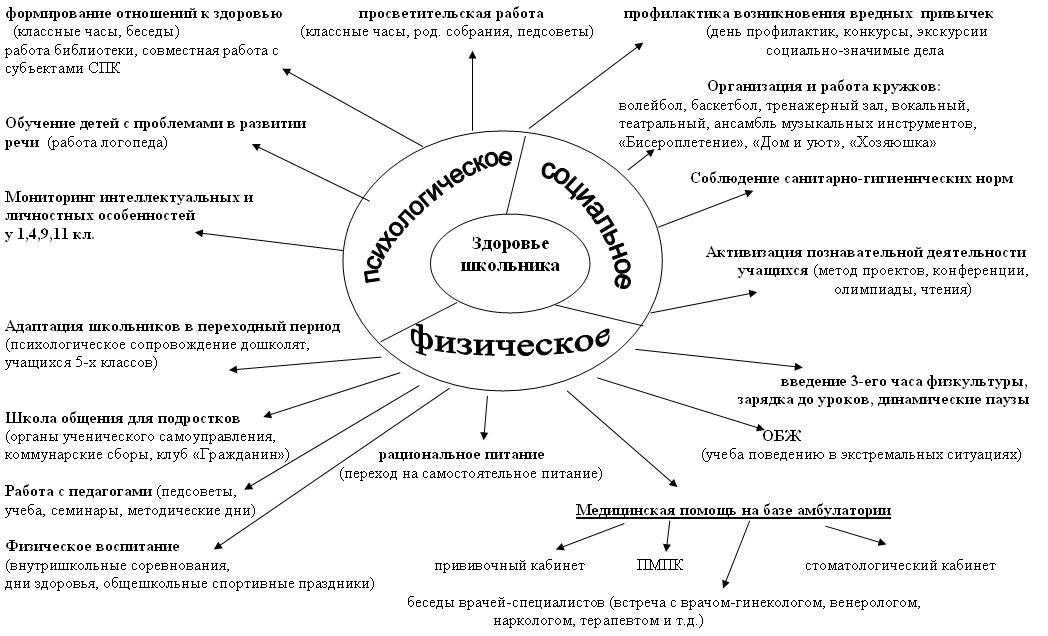 Диаграмма взаимосвязи здоровья и образа жизни