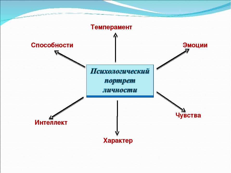 Схема характера человека