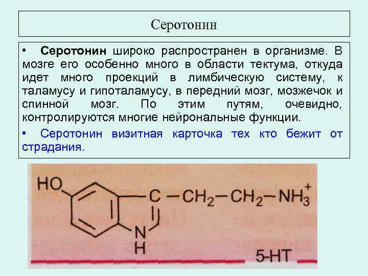 Серотонин что это