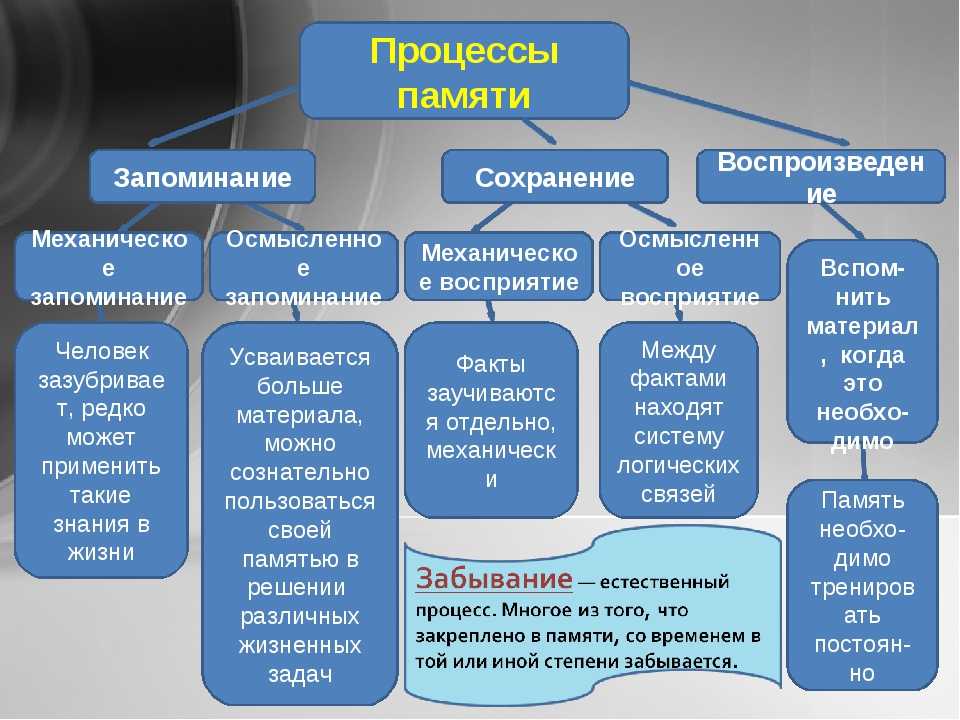 Процессы памяти схема