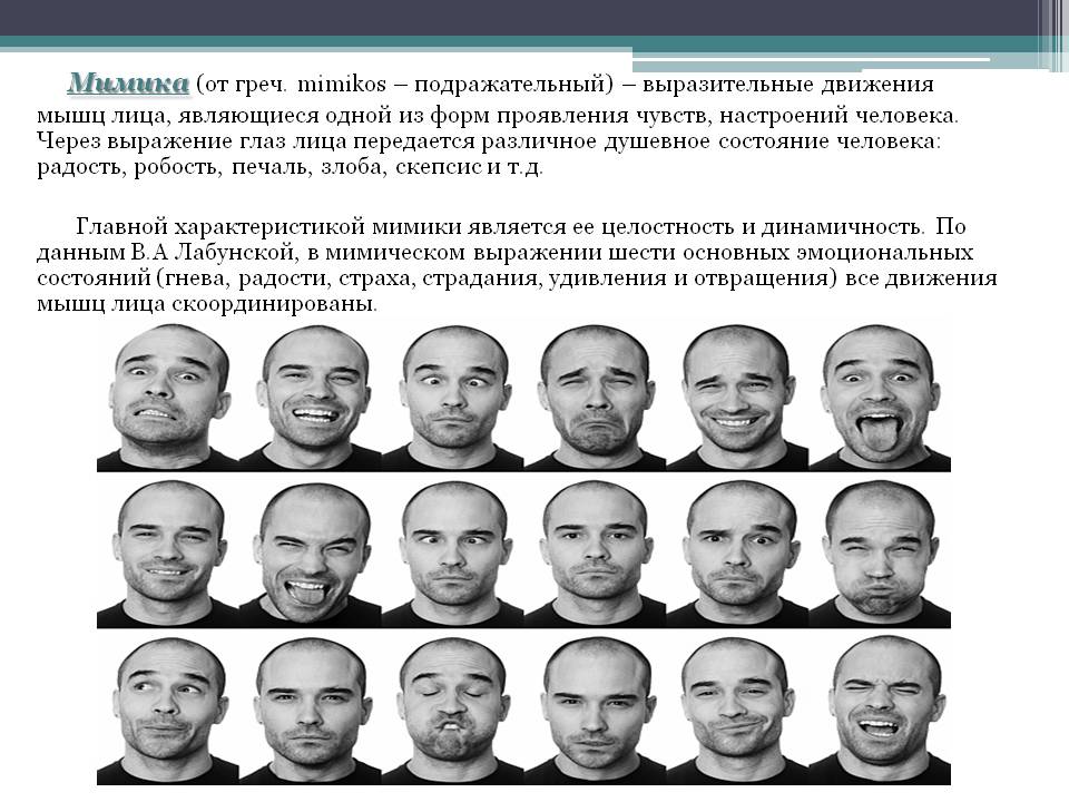 Проанализируйте изображение как можно по мимике лица понять эмоциональное состояние