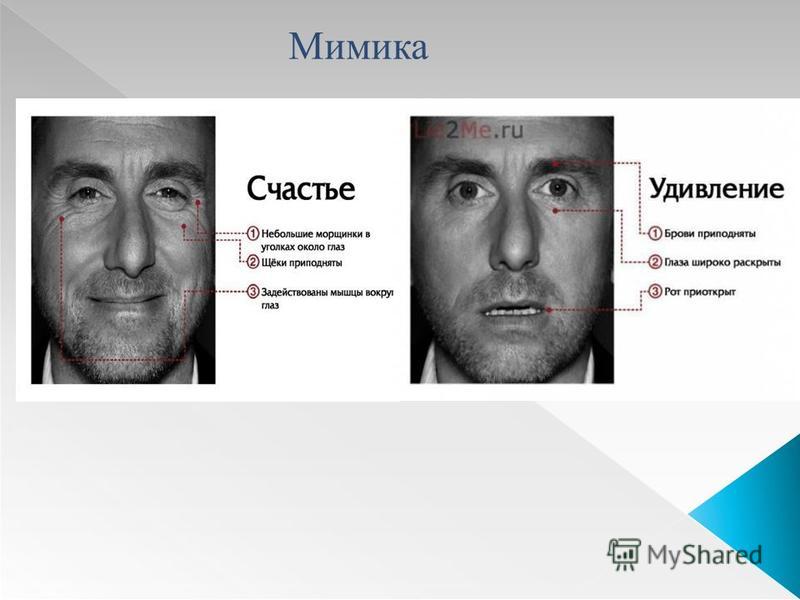 Почему человек рисует лица психология