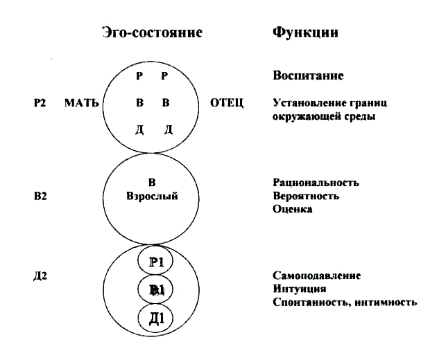 Проявления эго. Эго состояния Берн. Эго-состояния по э.Берну. Функциональная модель эго состояний.