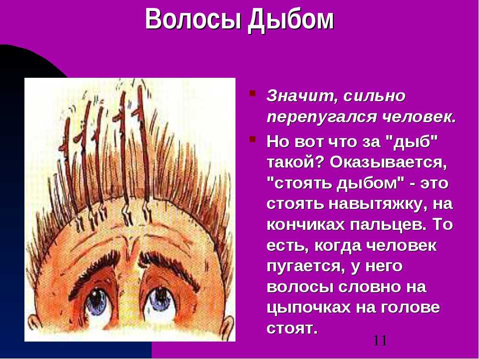 Волосы встают дыбом что делать. Волосы дыбом фразеологизм. Волосы встали дыбом фразеологизм. Волосы дыбом рисунок. Волосы дыбом на голове.