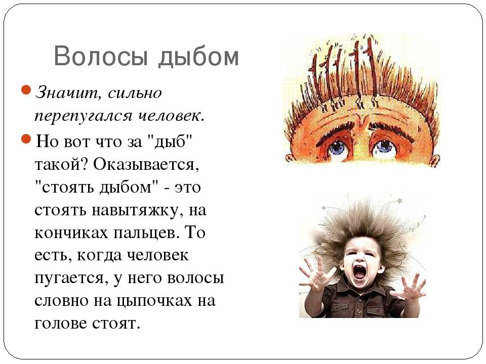 Волосы встают дыбом что делать. Волосы дыбом фразеологизм. Происхождение фразеологизма волосы дыбом. Волосы встали дыбом значение фразеологизма. Волосы встали дыбом фразеологизм.