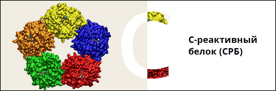 Картинки с реактивный белок