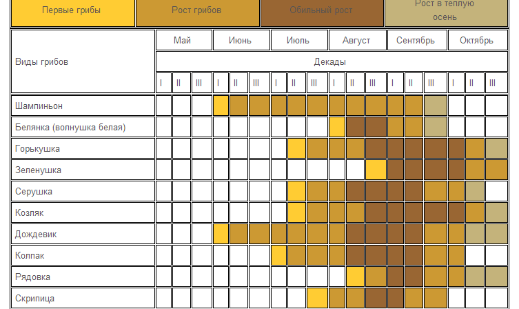 При какой температуре растет. Календарь грибника. Грибы календарь сбора. Таблица сбора грибов. График сбора грибов по месяцам.