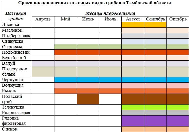При какой температуре осенью можно. График сбора грибов. Сроки сбора грибов. Период роста грибов. Температура для роста грибов.