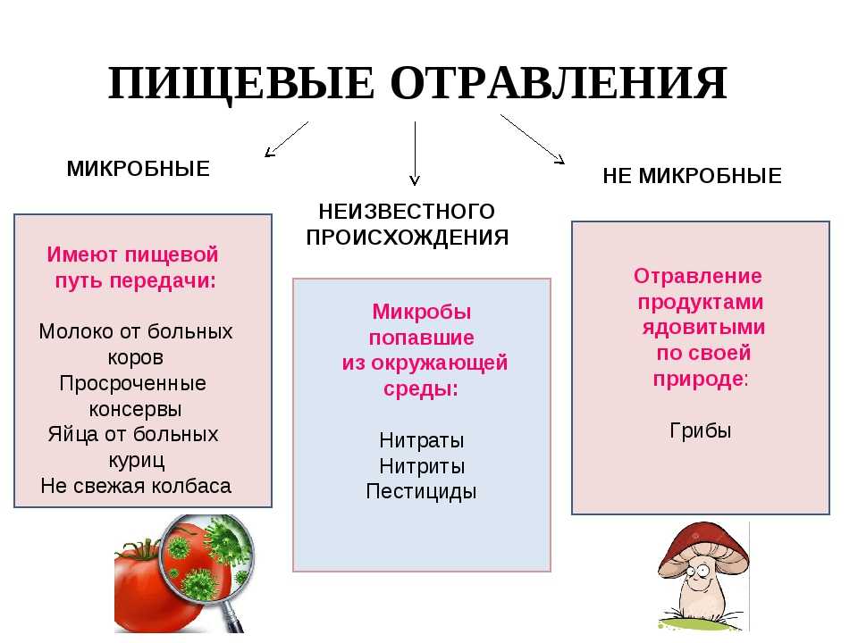 Презентация на тему пищевые отравления и их профилактика