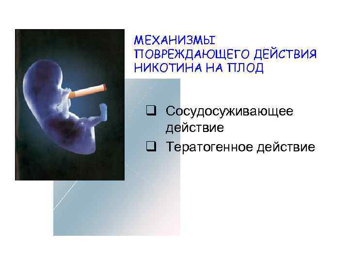 Влияние курения на развитие плода презентация