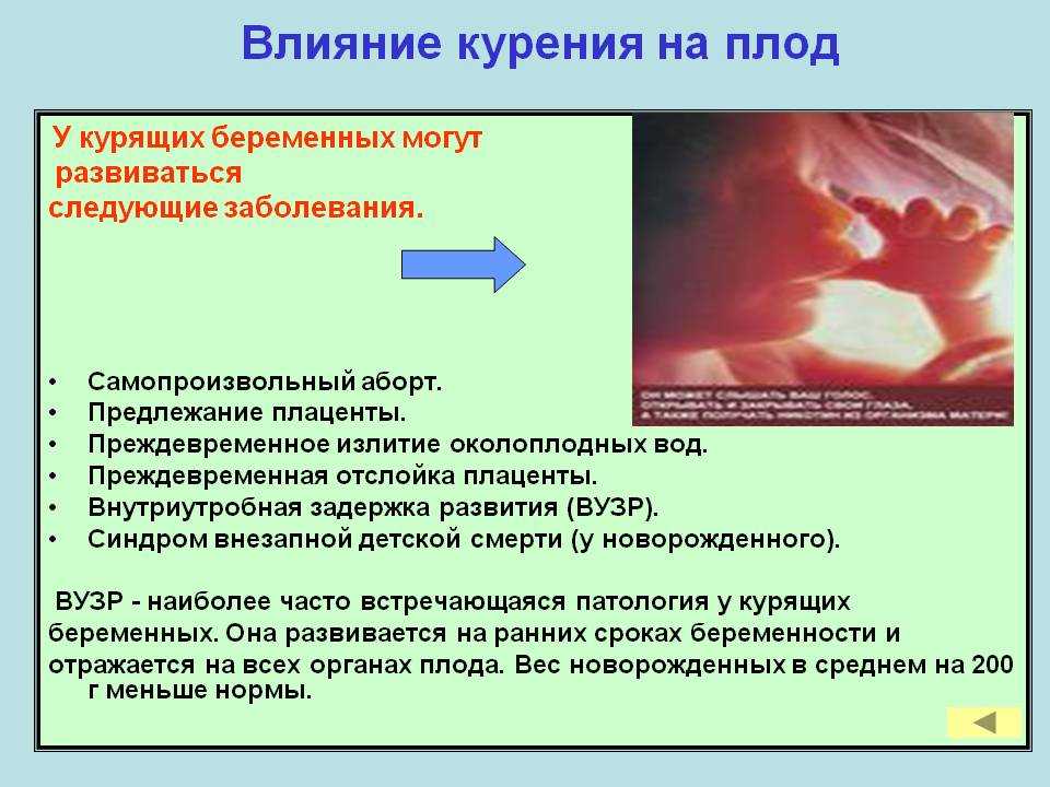 Влияние курения на зародыша. Воздействие никотина на плод. Как курение влияет на развитие зародыша. Влияние сигарет на эмбрион. Влияние курения на развитие эмбриона человека.