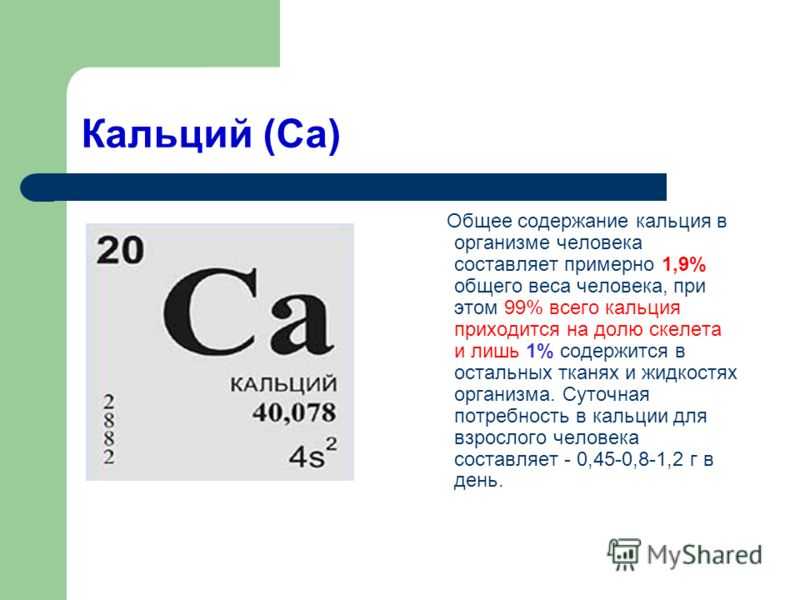 Роль кальция в организме человека проект