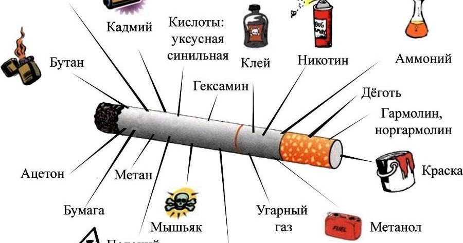 Что содержит никотин. Как называются части сигареты. Из чего состоит сигарета рисунок. Строение сигареты. Состав сигареты.