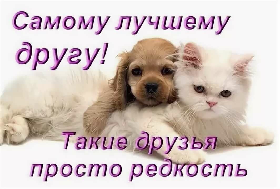 Ты мой лучший друг картинка