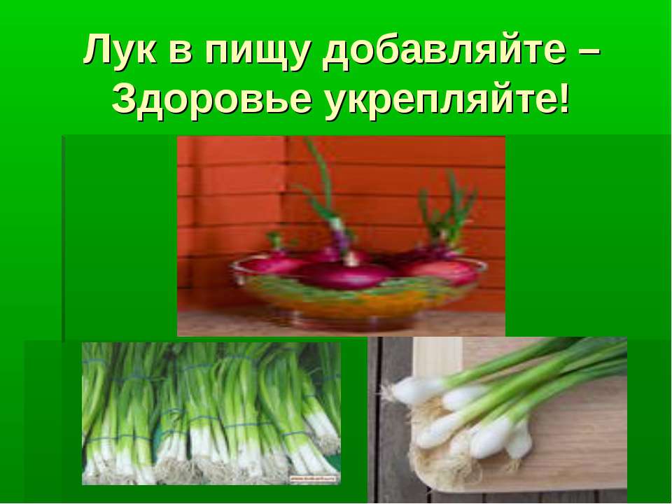 Полезен ли зеленый лук. Презентация зеленый лук. Лук для презентации. Лук в пищу. Проект зеленый лук.