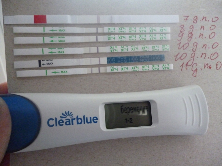 Как показывает тест на беременность на ранних сроках фото положительный и отрицательный результат