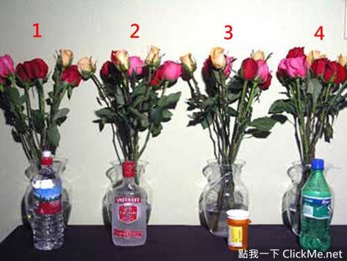 Что положить в вазу с розами