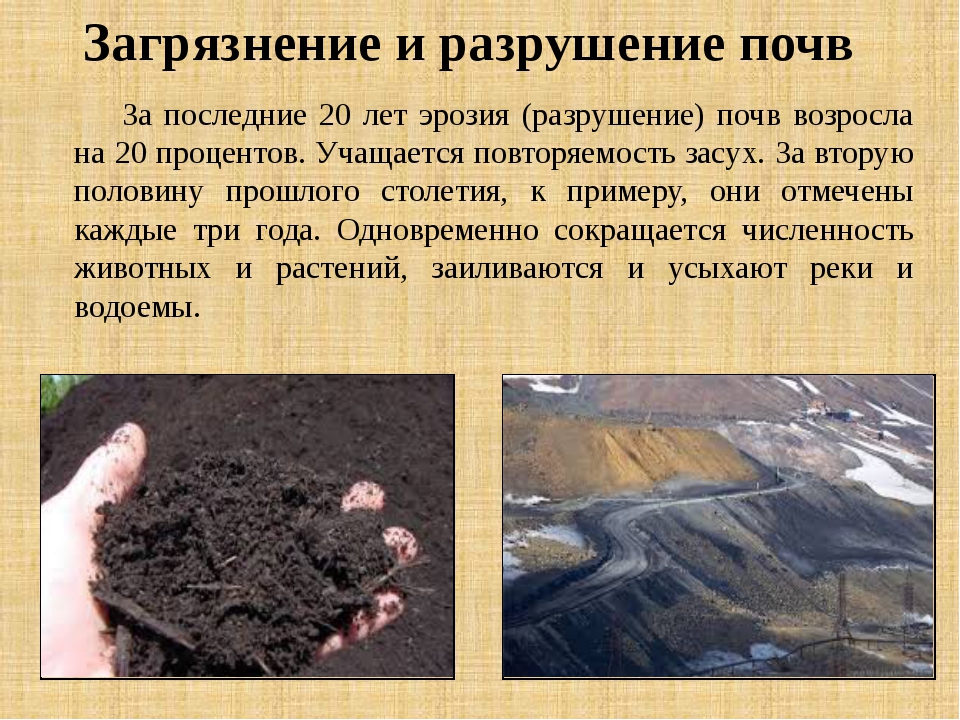 Защита почвы от загрязнения