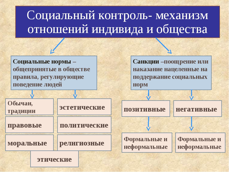 План социальные санкции егэ