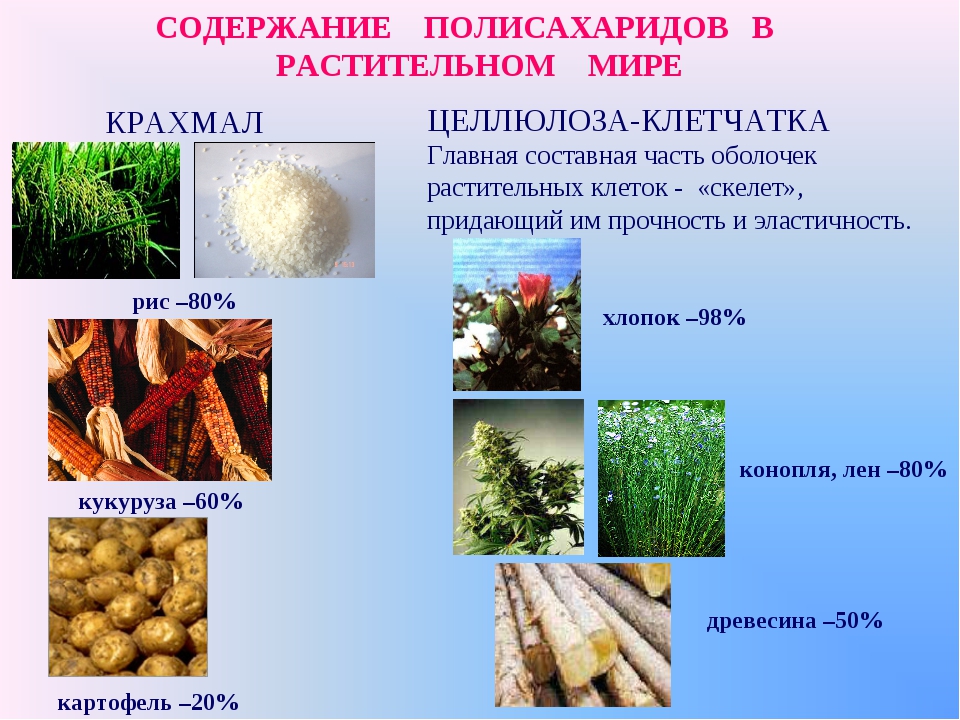 Основные источники растительного. Полисахариды примеры. Полисахариды растительного происхождения. Природные полисахариды. Нахождение в природе полисахаридов.