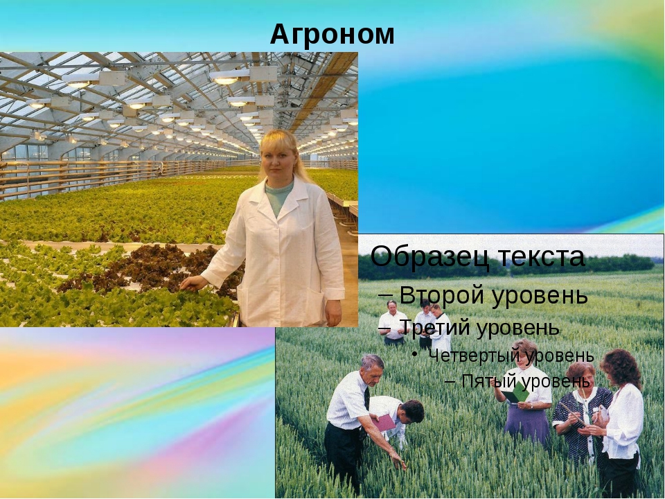 Карта пос агроном