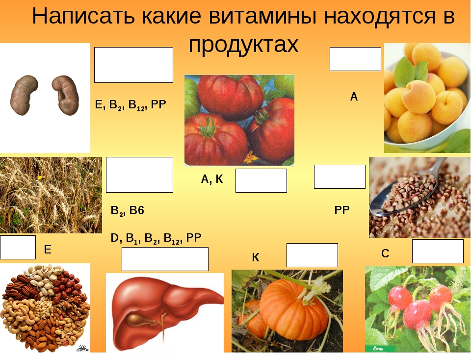 Какие витамины находятся в луке. Королек витамины. Какие витамины в Корольке. Какого витамина больше всего в луке. Какого витамина больше в луке.