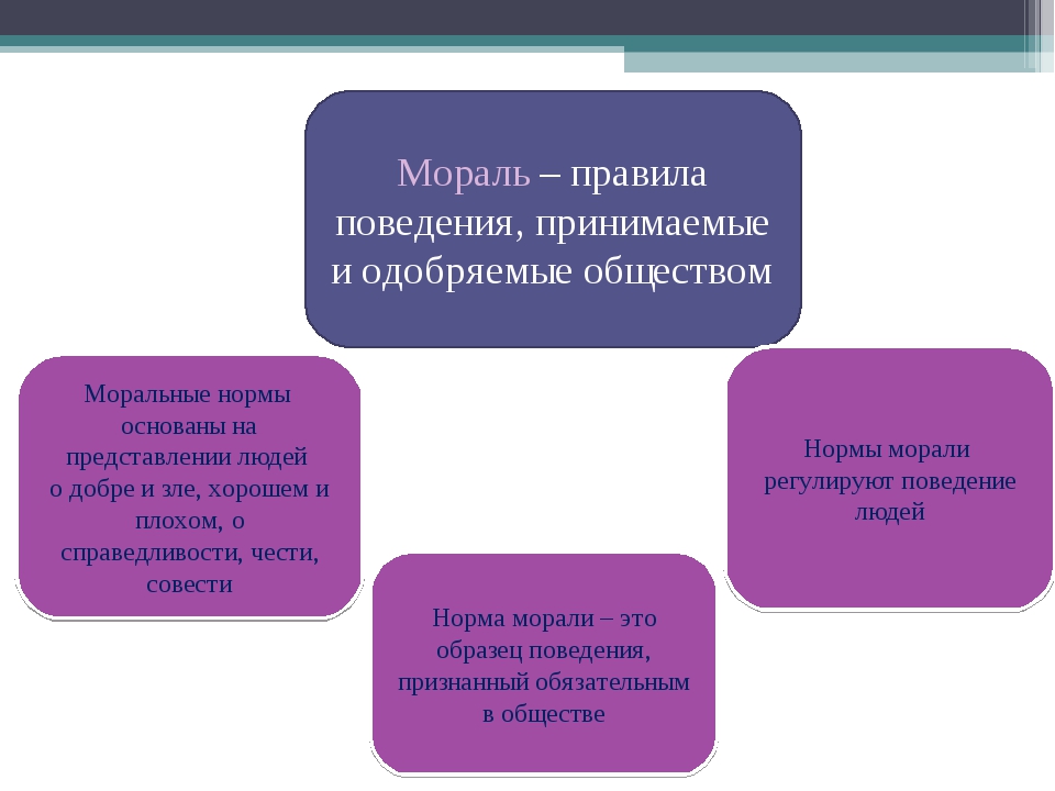 Образцы правила поведения принятые в обществе это