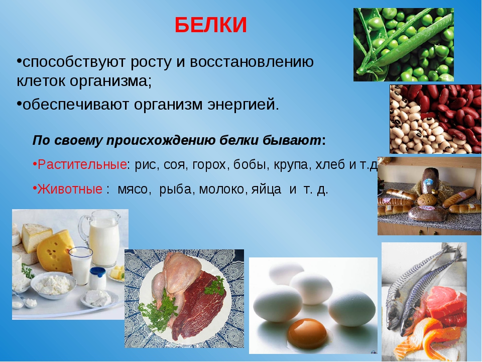 Белки в продуктах презентация