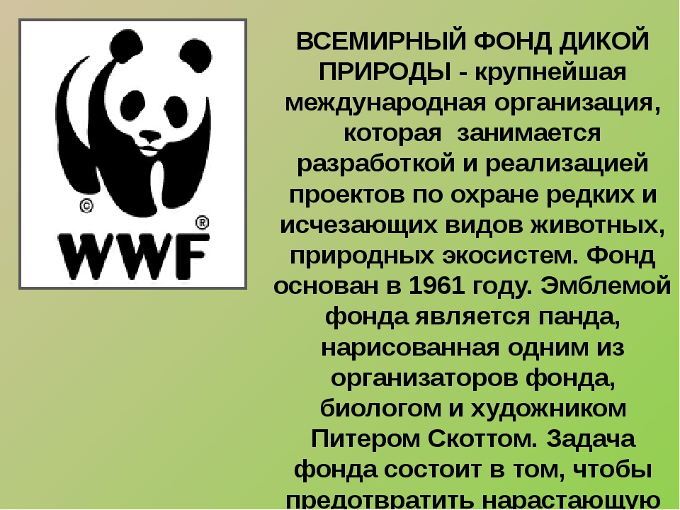 World wildlife fund animals