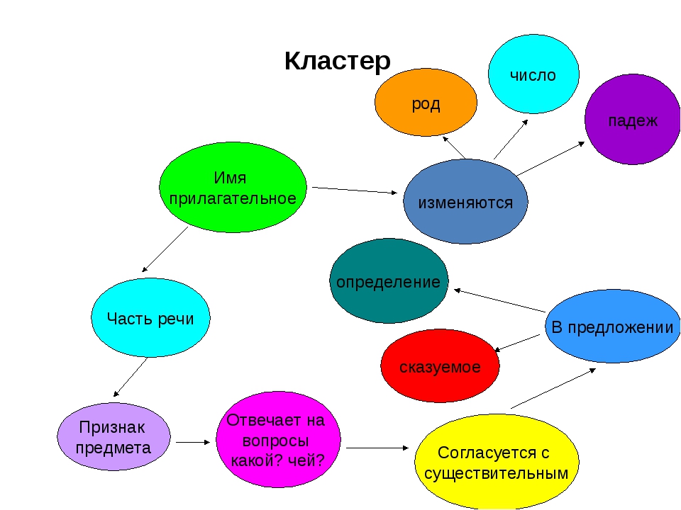 Заполни кластер с помощью рисунков и текста сообщения бобовые