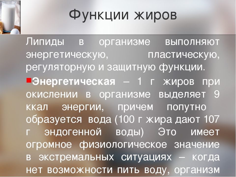 Проект жиры роль и превращение в организме человека применение в медицине