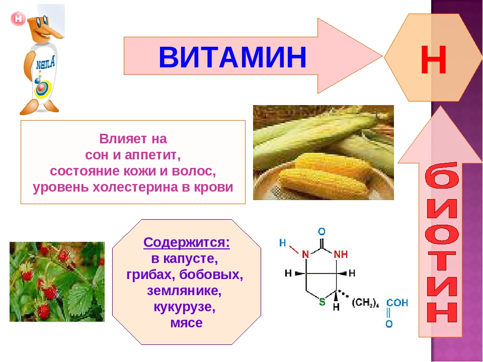 Б плюс ц. Витамины биология. Витамины биология 8 класс. Витамин б биология. Описание витаминов.