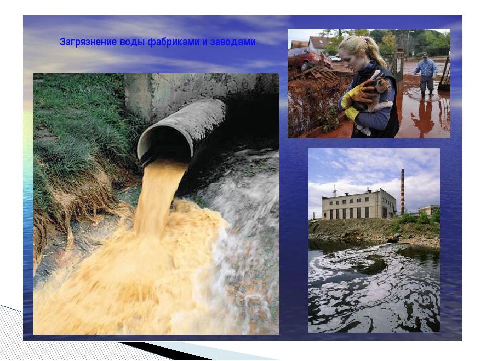 Охрана вод и почв. Загрязнение воды. Загрязнение природных вод. Человек загрязняет воду. Экология воды.