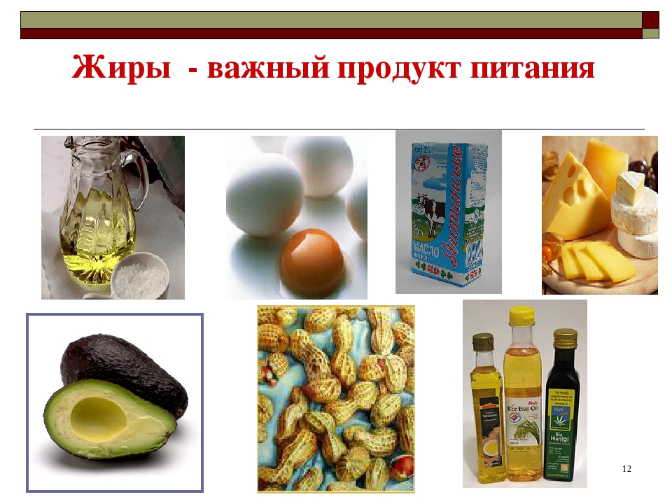 Жиры продукты картинки