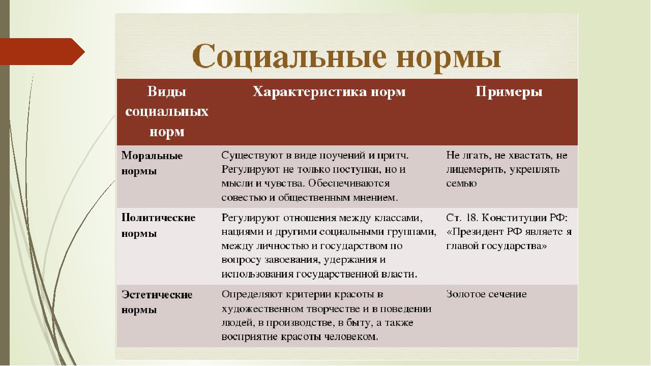 Как называются установленные в обществе правила образцы. Социальные нормы примеры. Социальные нормы это в обществознании. Виды социальных норм и примеры. Примеры традиций социальных норм.