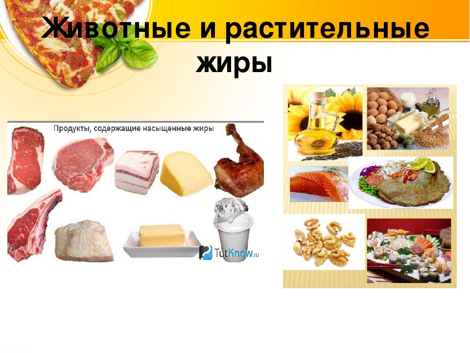 Продукты содержащие жиры. Жиры растительного и животного происхождения таблица. Растительные и животные жиры. Жиры растит и животные. Жиры животного происхождения.