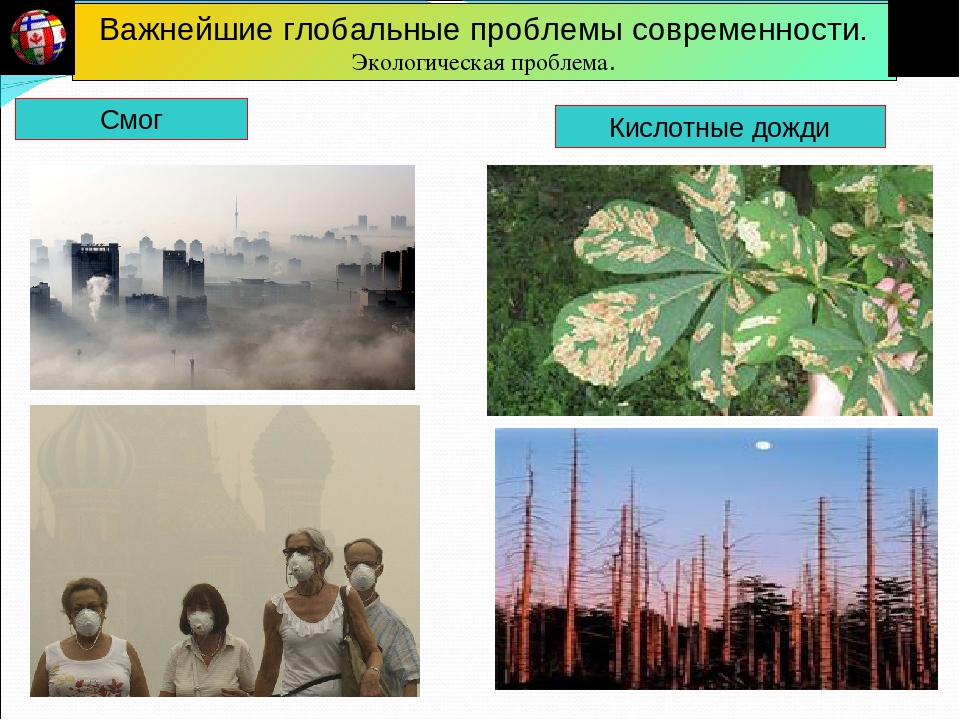 Кислотный смог. Глобальные экологические проблемы. Экологические проблемы современности. Глобальные проблемы экологии. Современные проблемы экологии.