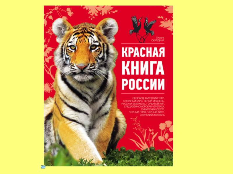 Красная книга для детей в картинках животные