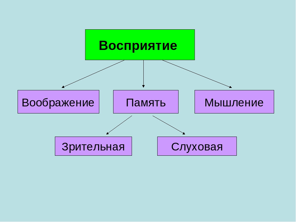 Память мышление воображение. Мышление память воображение. Воображение и восприятие. Восприятие память мышление воображение. Виды памяти и воображения.