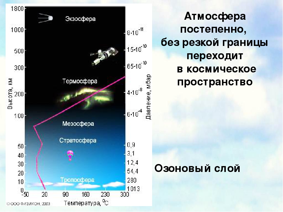 Озоновый экран находится на высоте