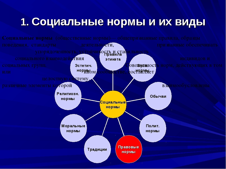 По каким правилам живет общество презентация 7 класс