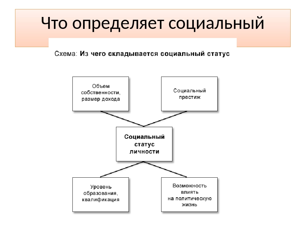 Статус определяющий. Кластер по теме социальные статусы и роли. Социальная роль социальный статус и Престиж. Соц роли и статусы схема. Что определяет социальный статус.