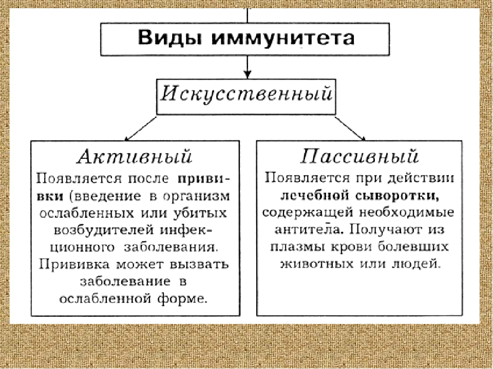 Разновидности иммунитета схема обж