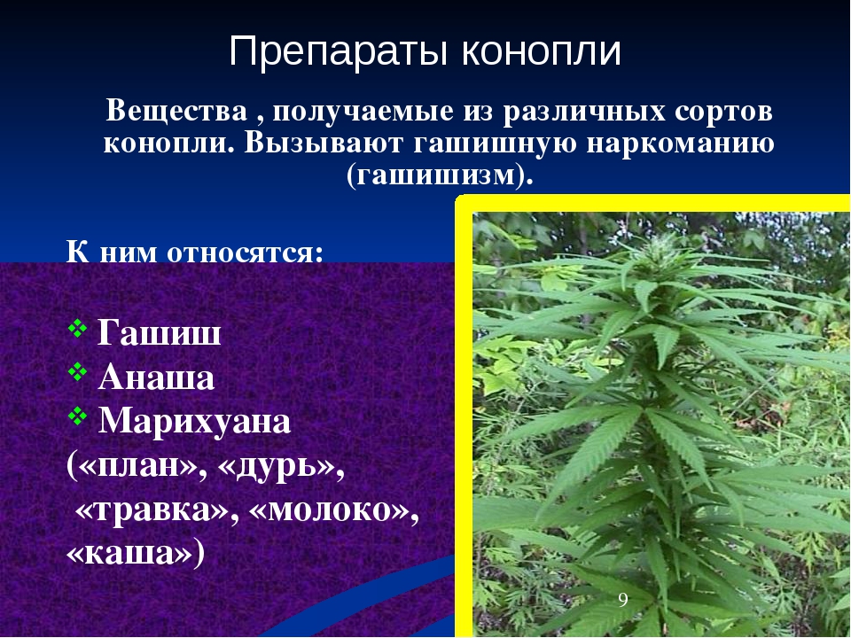 грузит от марихуаны