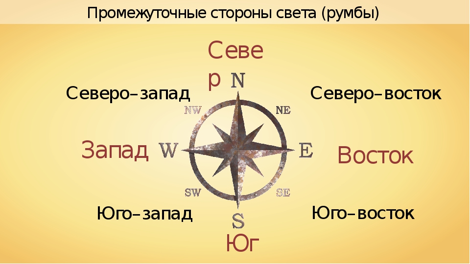 Стороны света перевод на русский. Расположение севера Юга и Запада на компасе.