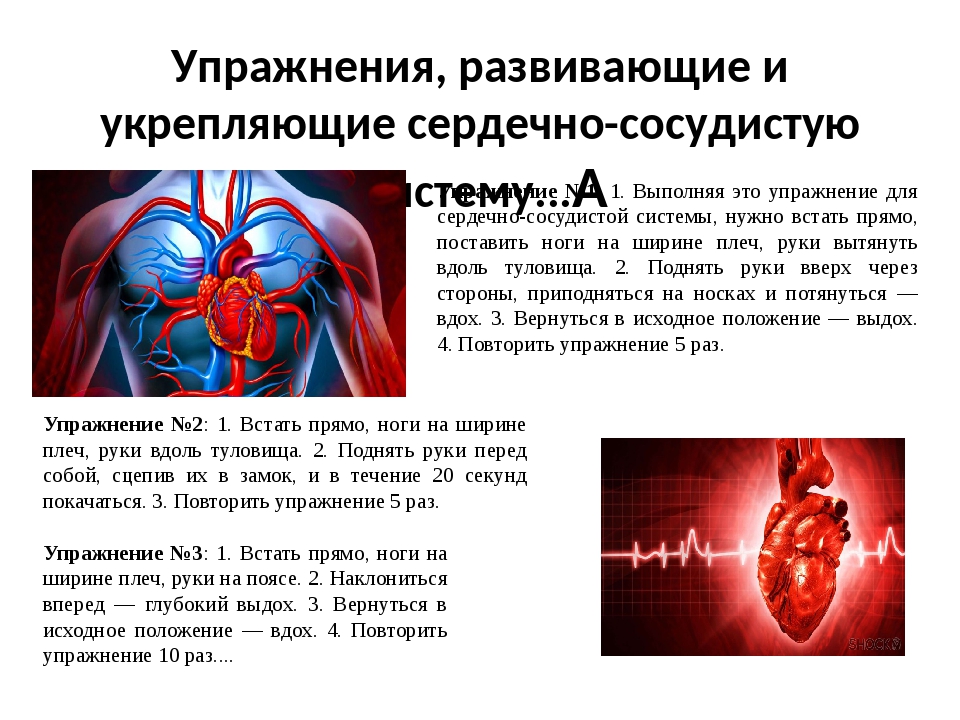Если сердечная деятельность не восстанавливается. Упражнения для сердечно-сосудистой системы. Поражение сердечно-сосудистой системы. Влияние на сердечно-сосудистую систему. При сердечно-сосудистых заболеваниях.